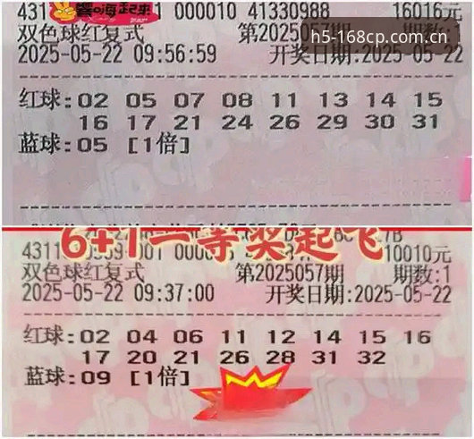 为什么彩票投注平台对比中，168CP能成为理性玩家的优选？